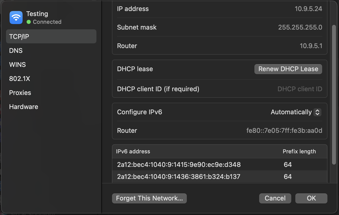 IPv6 Addresses assigned