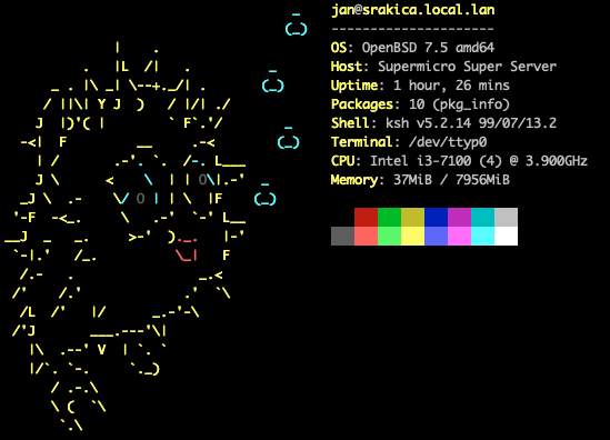 OpenBSD Router - Neofetch output